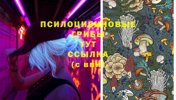 мяу мяу мука Богданович