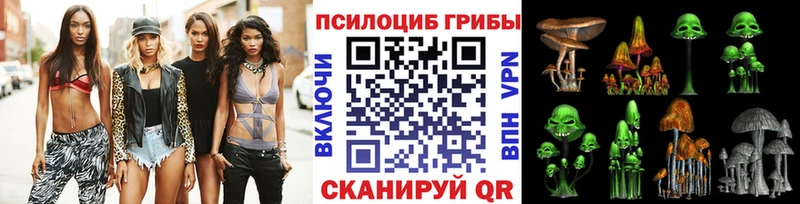 Псилоцибиновые грибы Psilocybine cubensis  Купить  Устюжна 