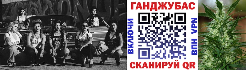 Канабис сатива  Купить закладки  Устюжна 